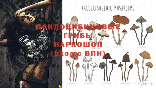 MESCALINE Костерёво