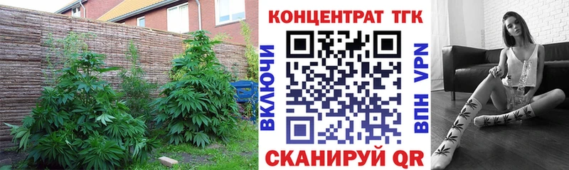 ТГК жижа Кудрово