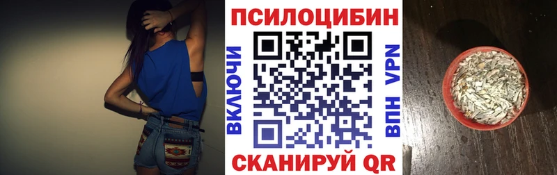 сколько стоит Кудрово Галлюциногенные грибы GOLDEN TEACHER
