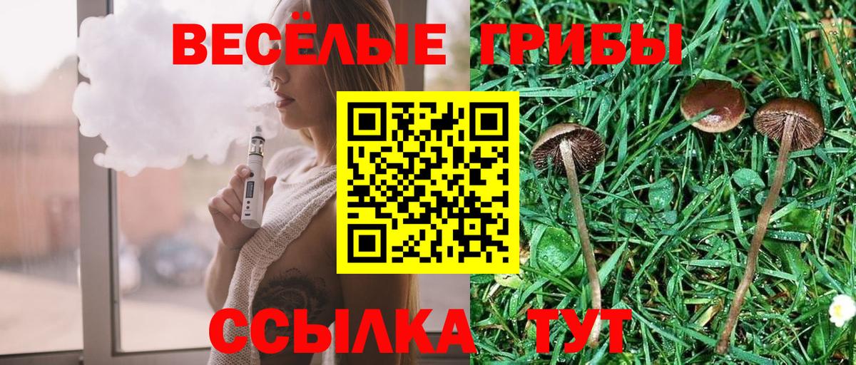 где можно купить наркотик  Галлюциногенные грибы прущие грибы  Галлюциногенные грибы MAGIC MUSHROOMS  Вход с VPN  Кудрово 